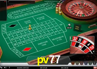 Live Casino pv77